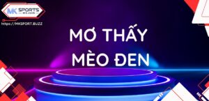 Mơ thấy mèo đen đánh con gì trúng đề lẫn lô