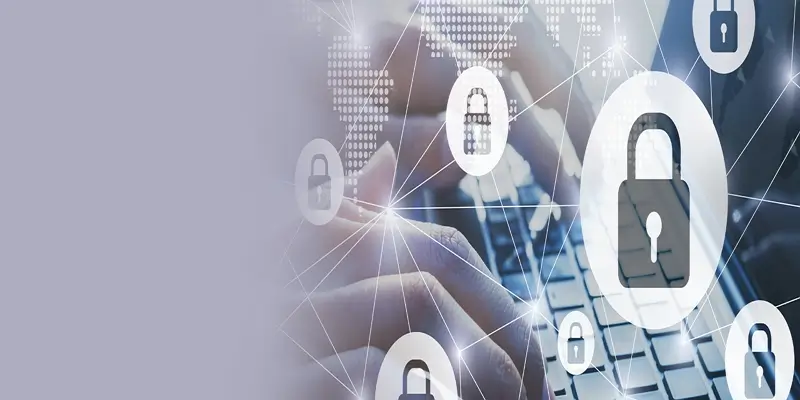 MK体育隐私政策中的用户权益